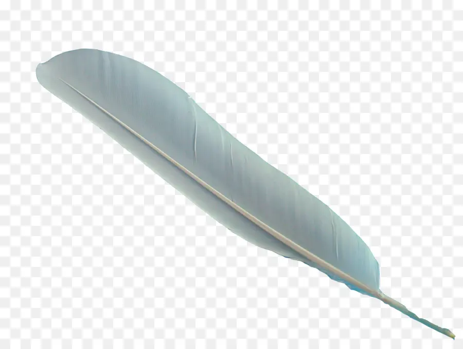 Pájaro，Pluma PNG