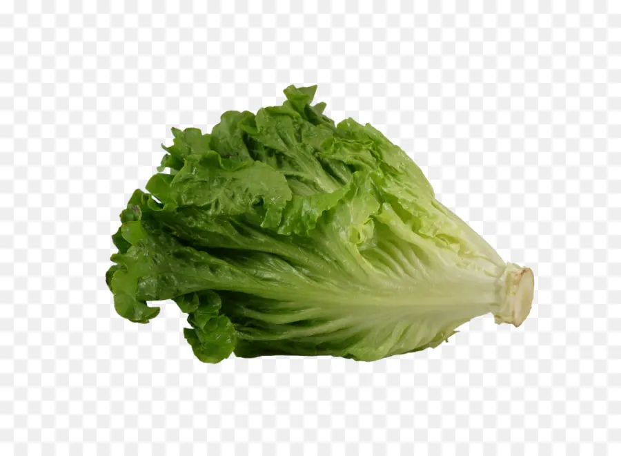 Ensalada Griega，La Hoja De Lechuga PNG