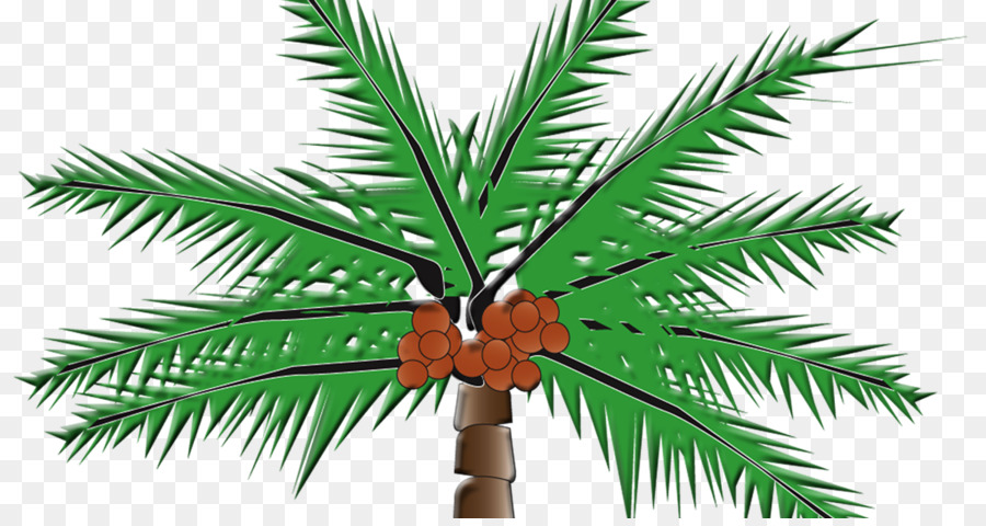 Arecaceae，La Leche De Coco PNG