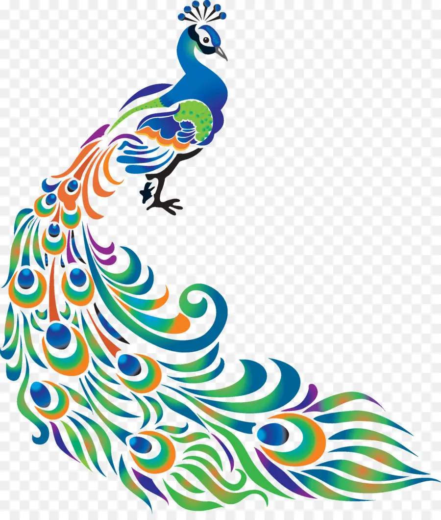 Dibujo，Pavo Real PNG