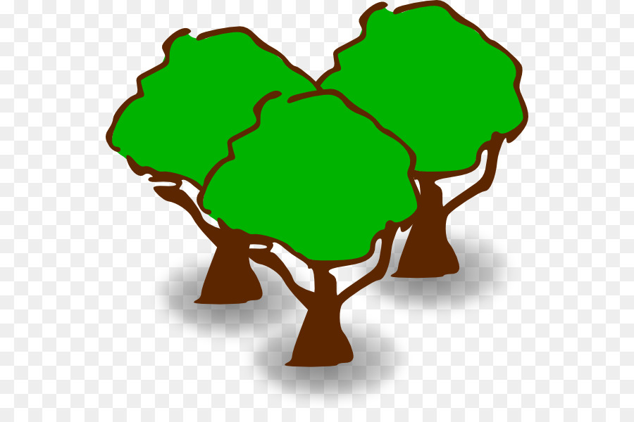 árbol，Planta PNG