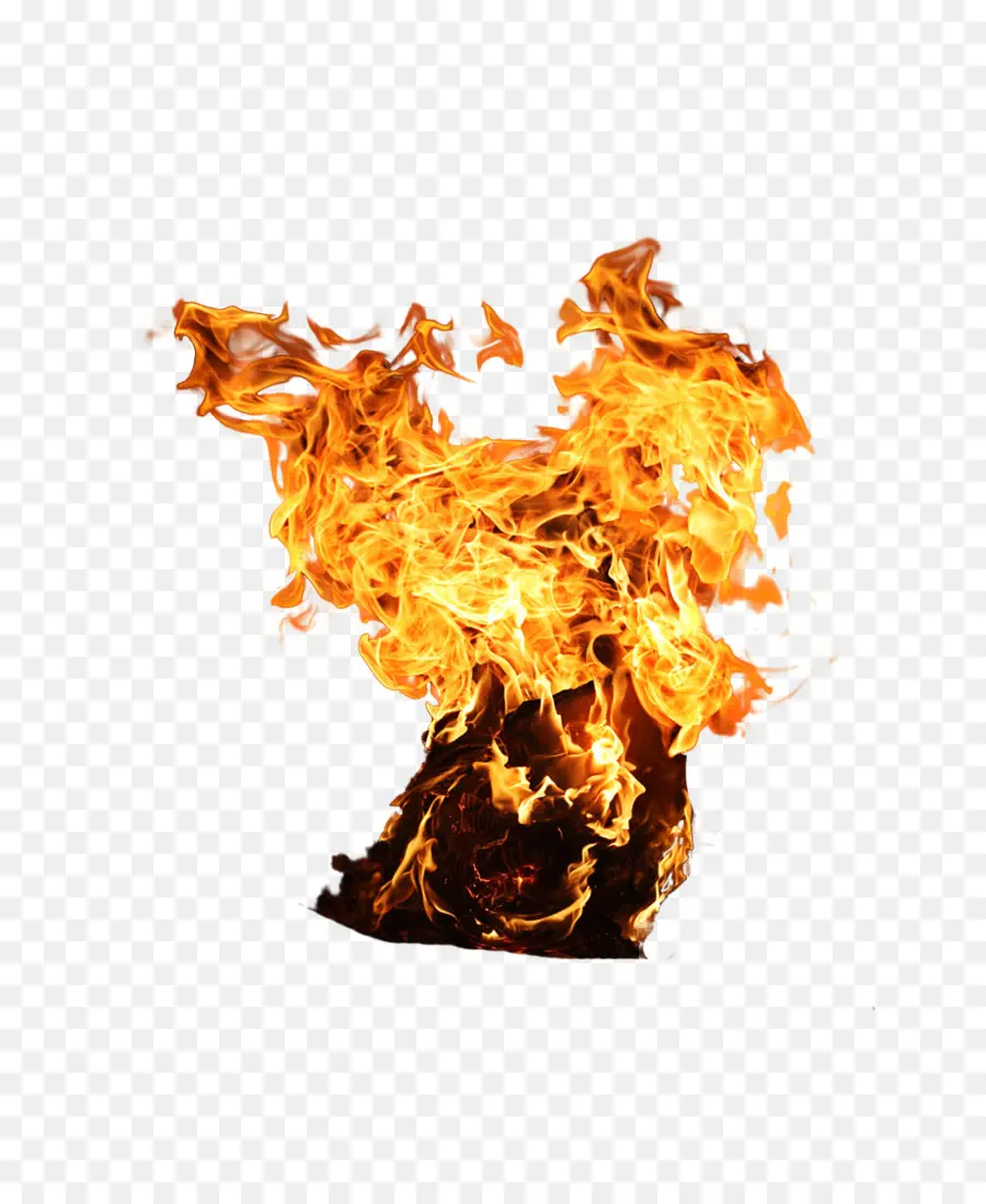 Fuego，Llama PNG