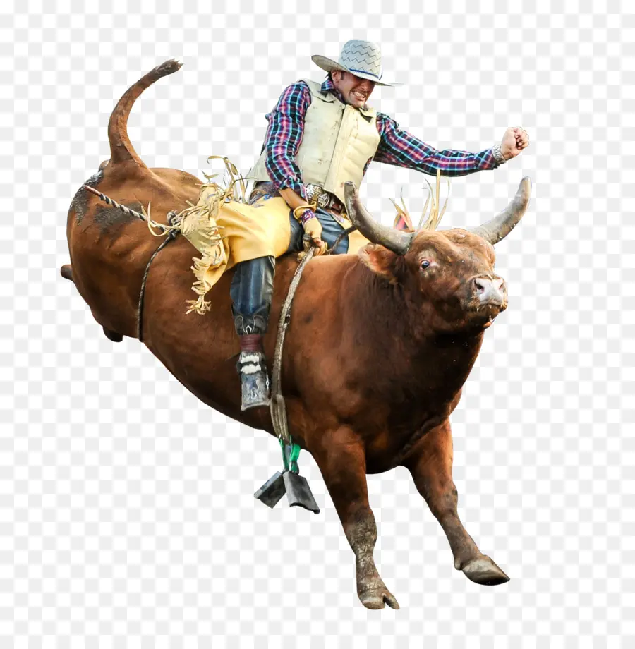 Monta De Toros，Professional Bull Riders PNG