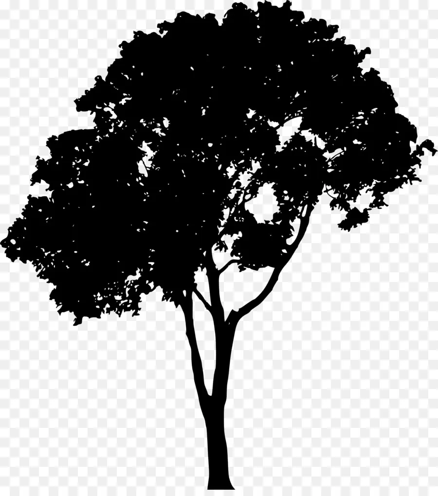 árbol，Silueta PNG