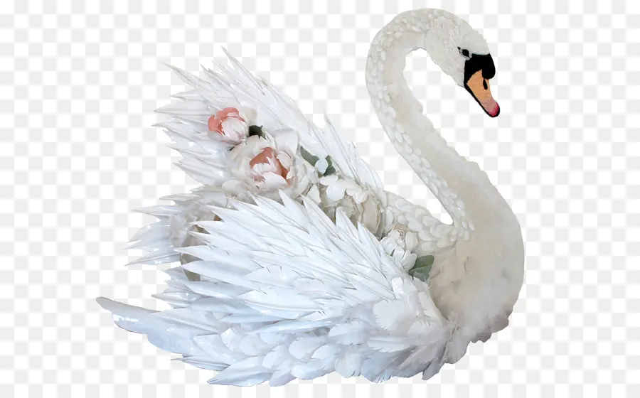 Cisne Blanco，Pájaro PNG