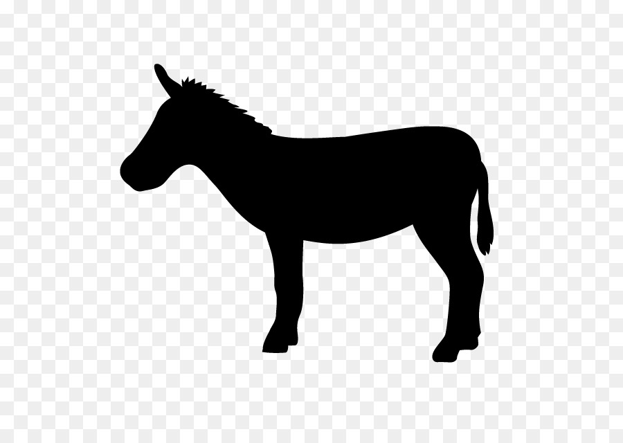 Caballo，Silueta PNG