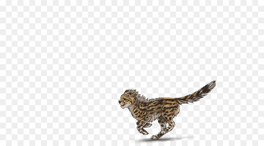 Cheetah，Felidae PNG