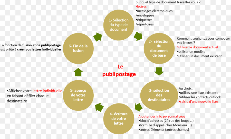 Organización，La Gestión Del Conocimiento PNG