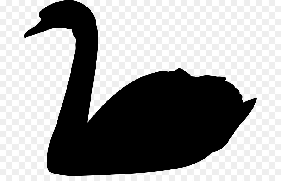 Cisne Negro El Impacto De Lo Altamente Improbable，Cisne Negro PNG