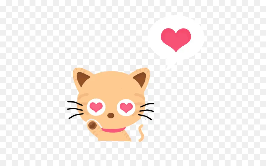 Lindo Gato，Animal PNG