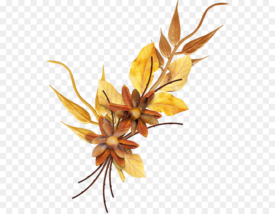 Flores De Otoño，Hojas PNG