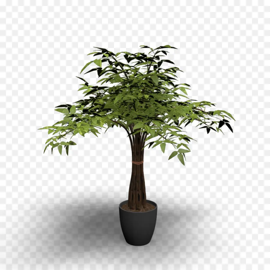 árbol En Maceta，Hojas Verdes PNG