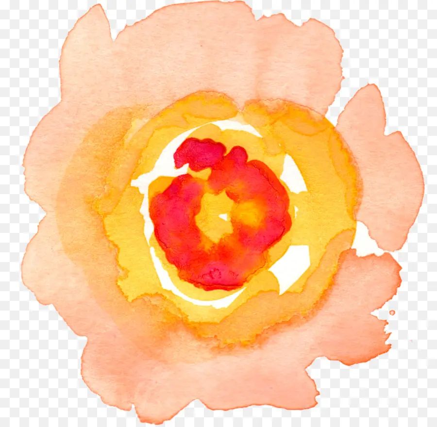 Acuarela De Flores，Pintura A La Acuarela PNG