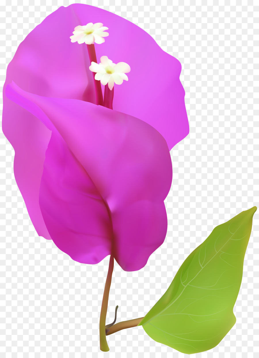 Flor，Pétalo PNG