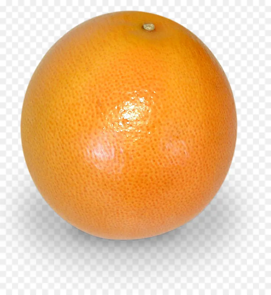 Naranja，Redondo PNG