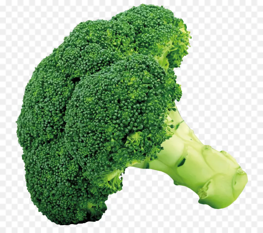 Brócoli，Verde PNG