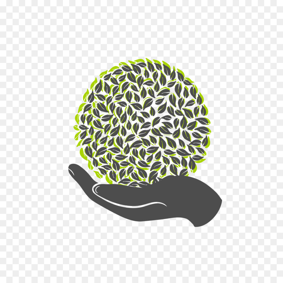 Planta De Mano，Verde PNG