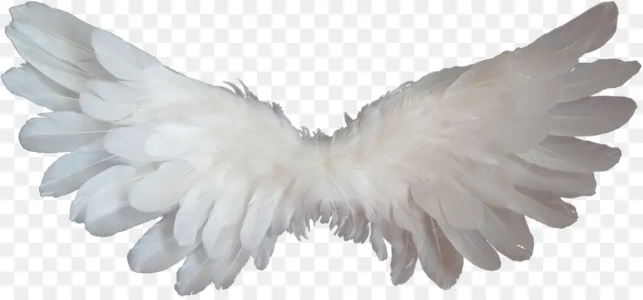 Angel，Heaven PNG