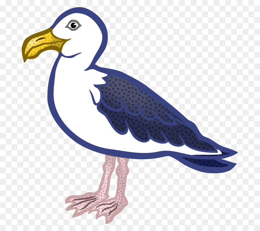 Gaviota，Pico PNG