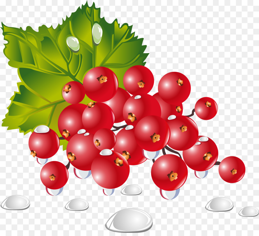 Vegetal，La Fruta PNG