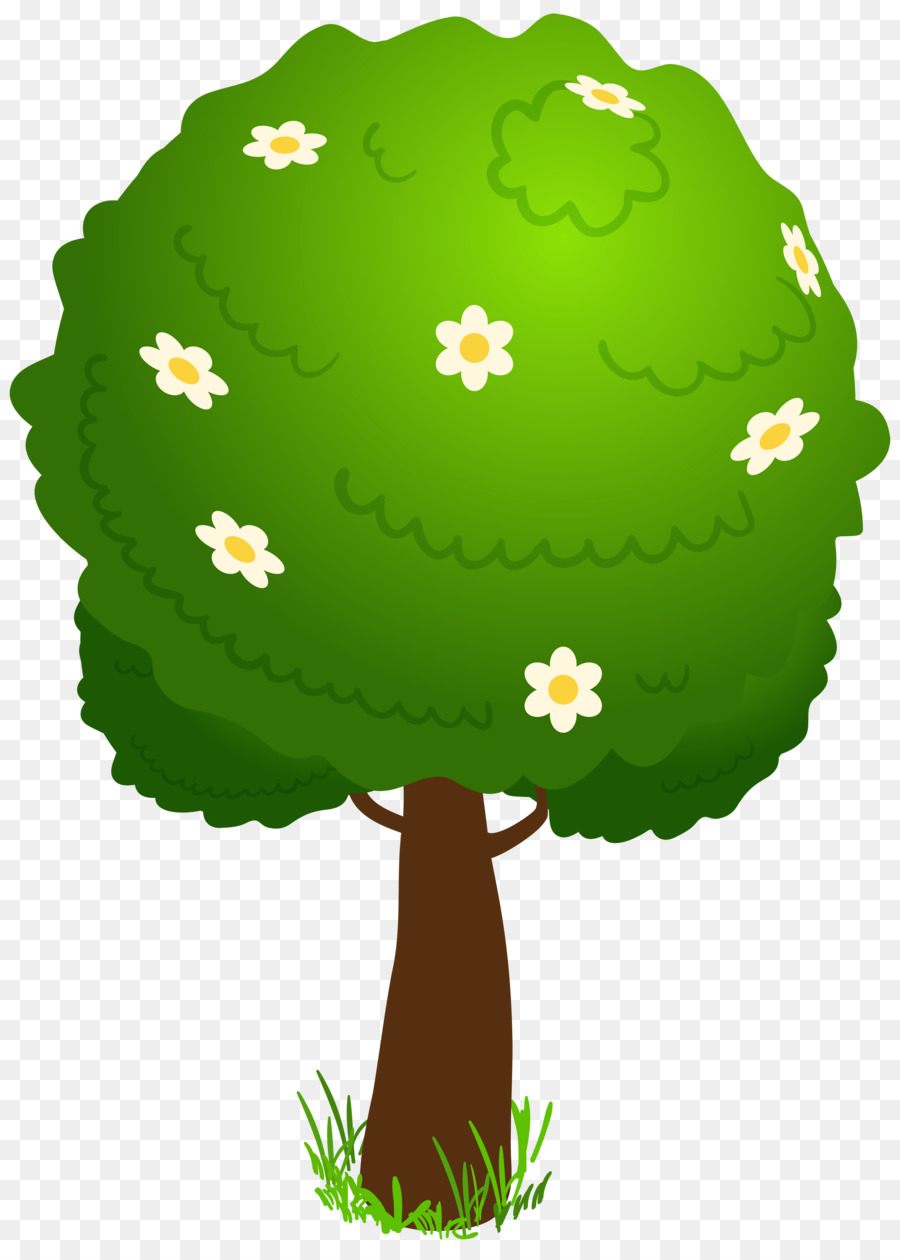 árbol Verde，Hojas PNG