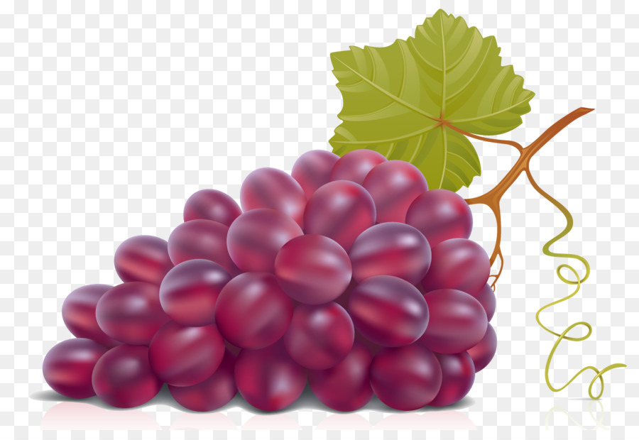 Vino，Uva PNG