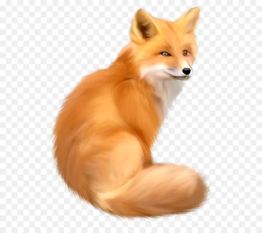 Fox，Descargar PNG