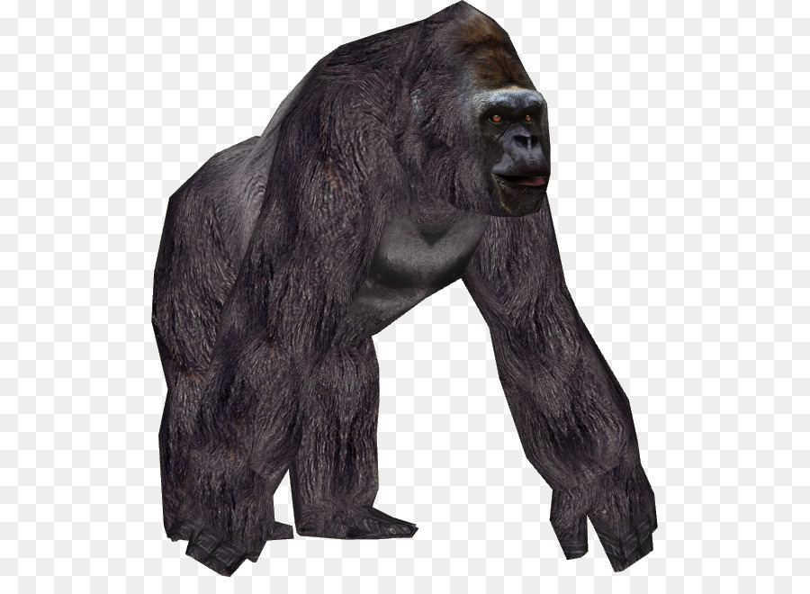 Zoo Tycoon 2，Chimpancé Común PNG