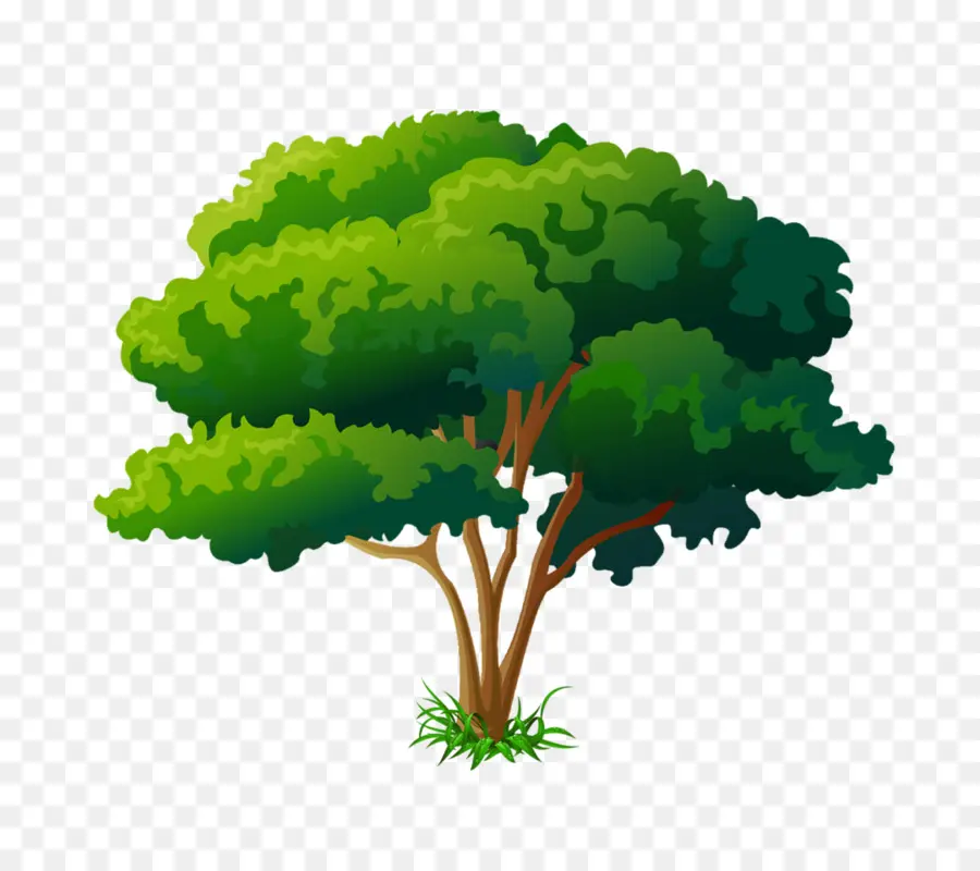 Ilustración De árbol，Árbol PNG