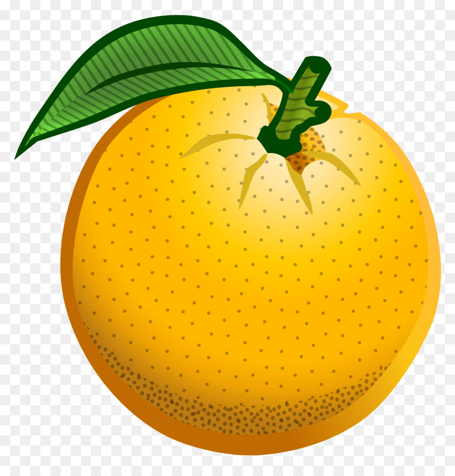 Naranja，Blog PNG