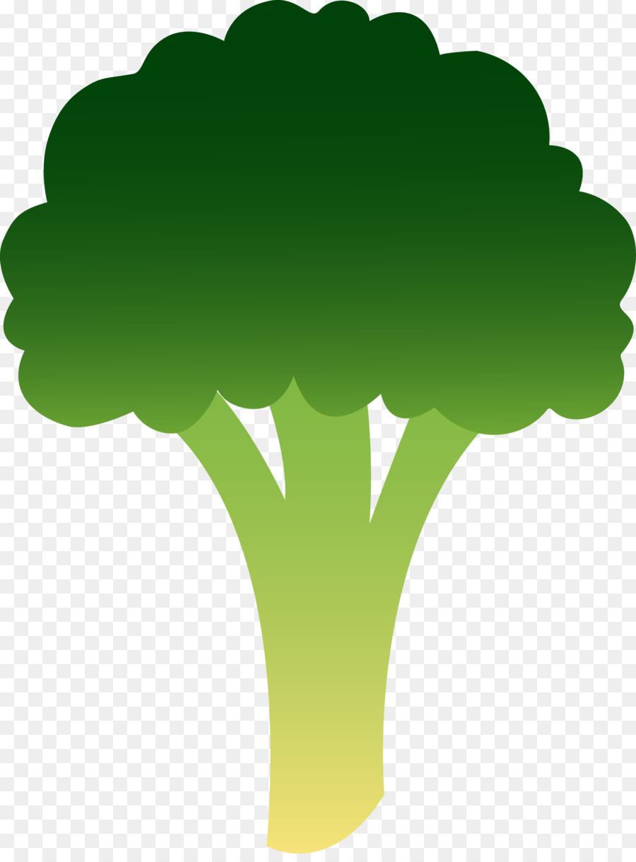 Brócoli Verde，Saludable PNG