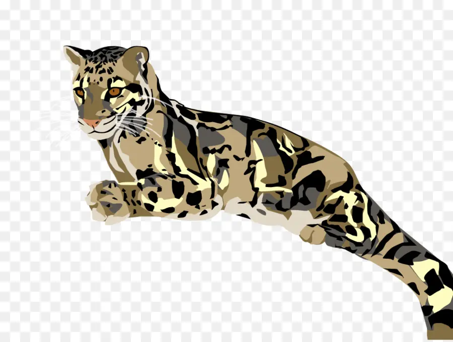 Felidae，Cheetah PNG