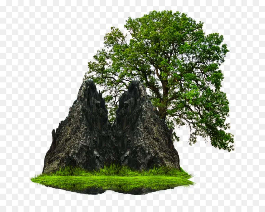 árbol Y Roca，Verde PNG