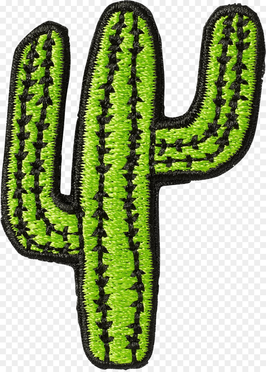 Cactus，Verde PNG