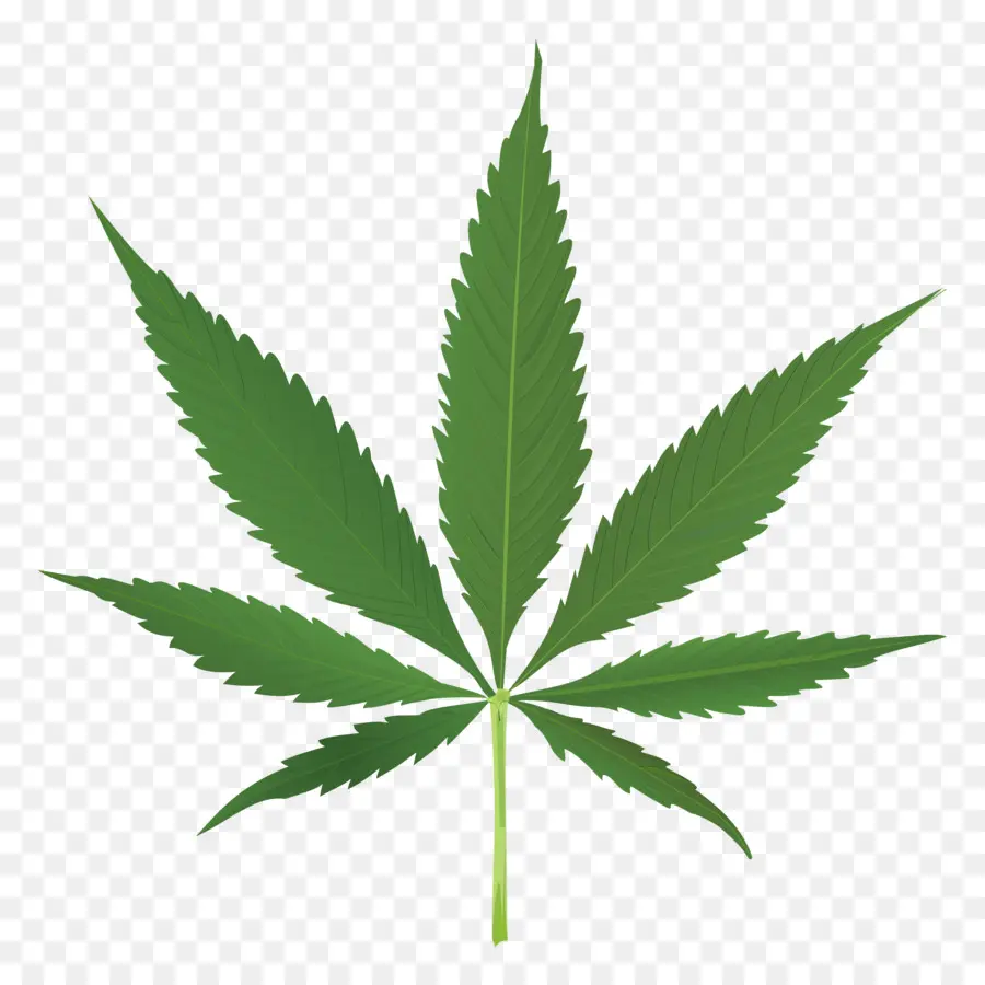 El Cannabis，Hoja PNG