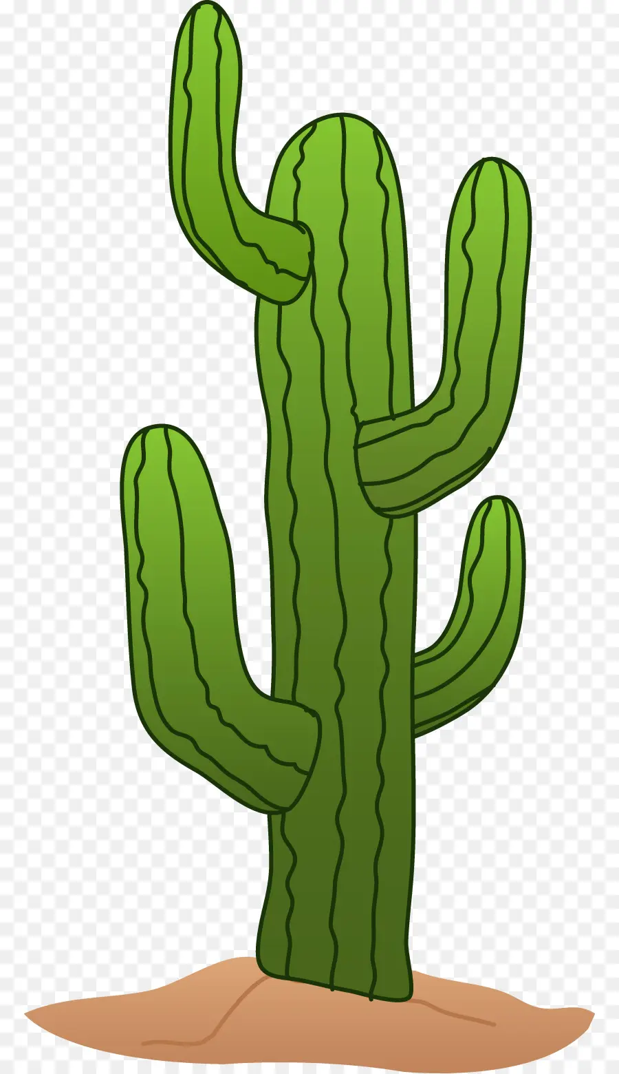 Cactus，Verde PNG