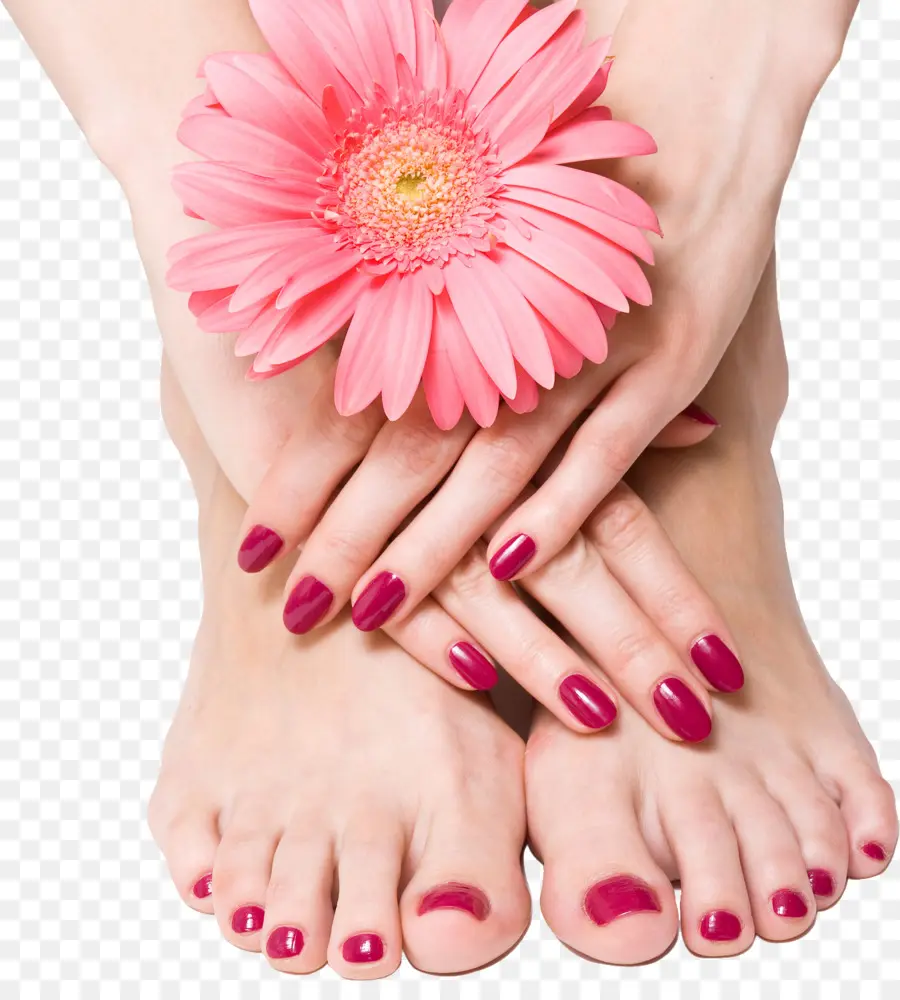 Manicura，Uñas PNG