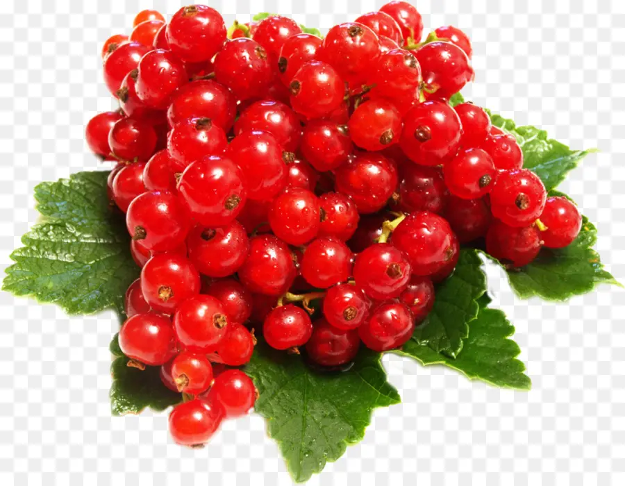 Uvas Rojas，Uvas PNG