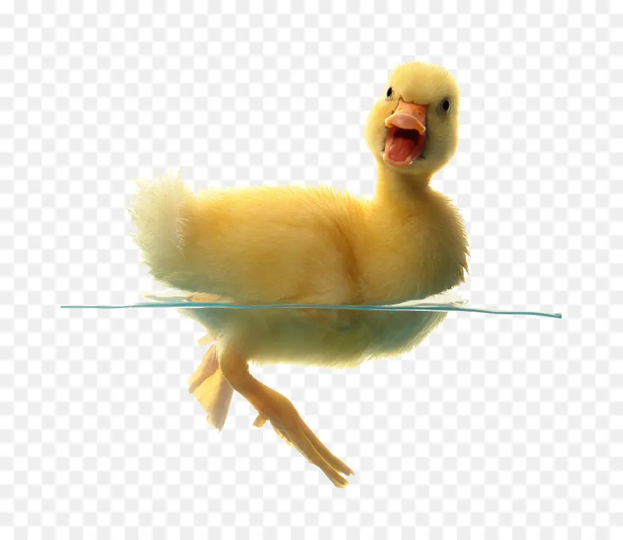 Patito Amarillo，Agua PNG