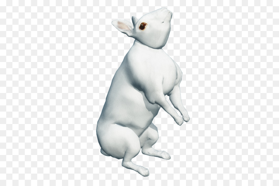 Gato，Perro PNG