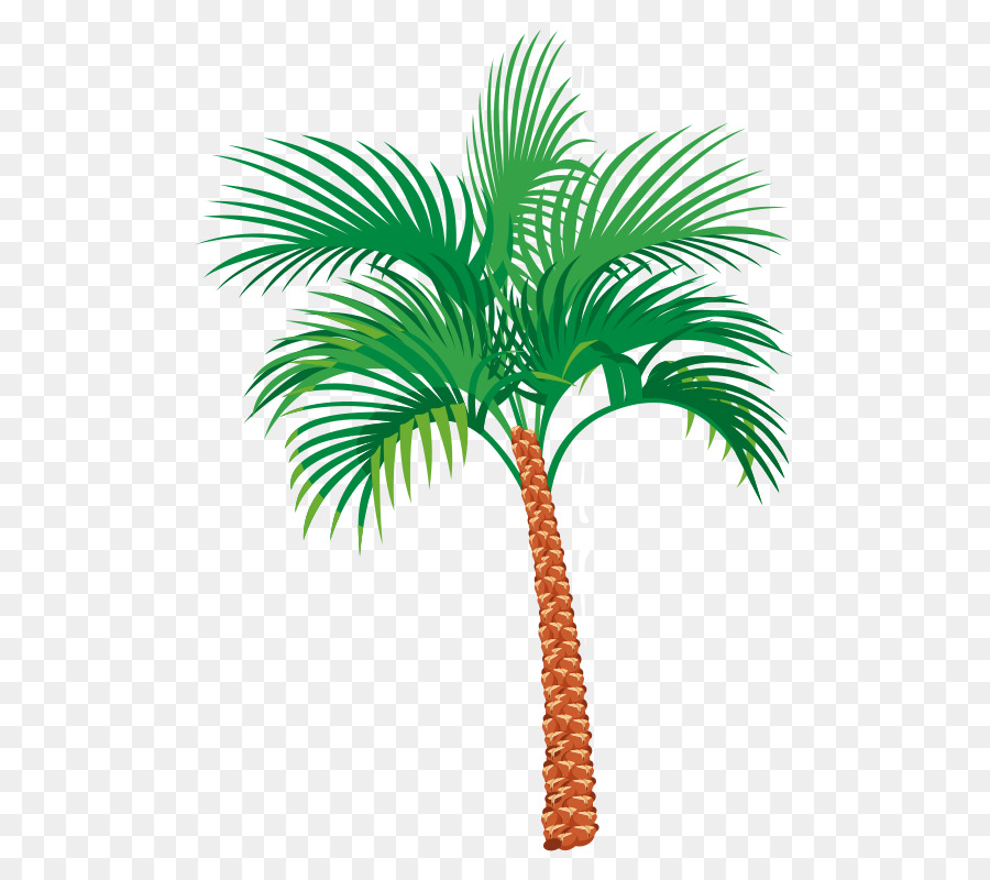 Palmera，Tropical PNG