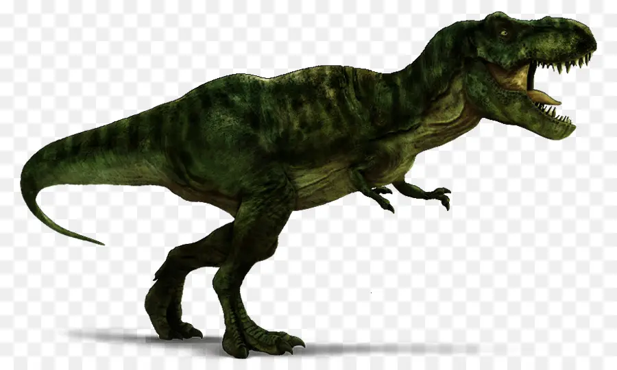 Velociraptor，Spinosaurus PNG