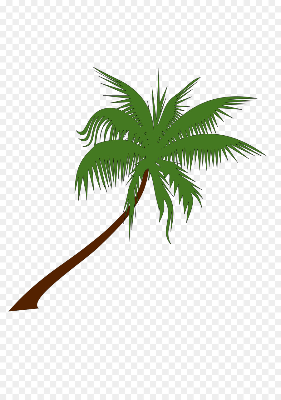 Palmera，Tropical PNG