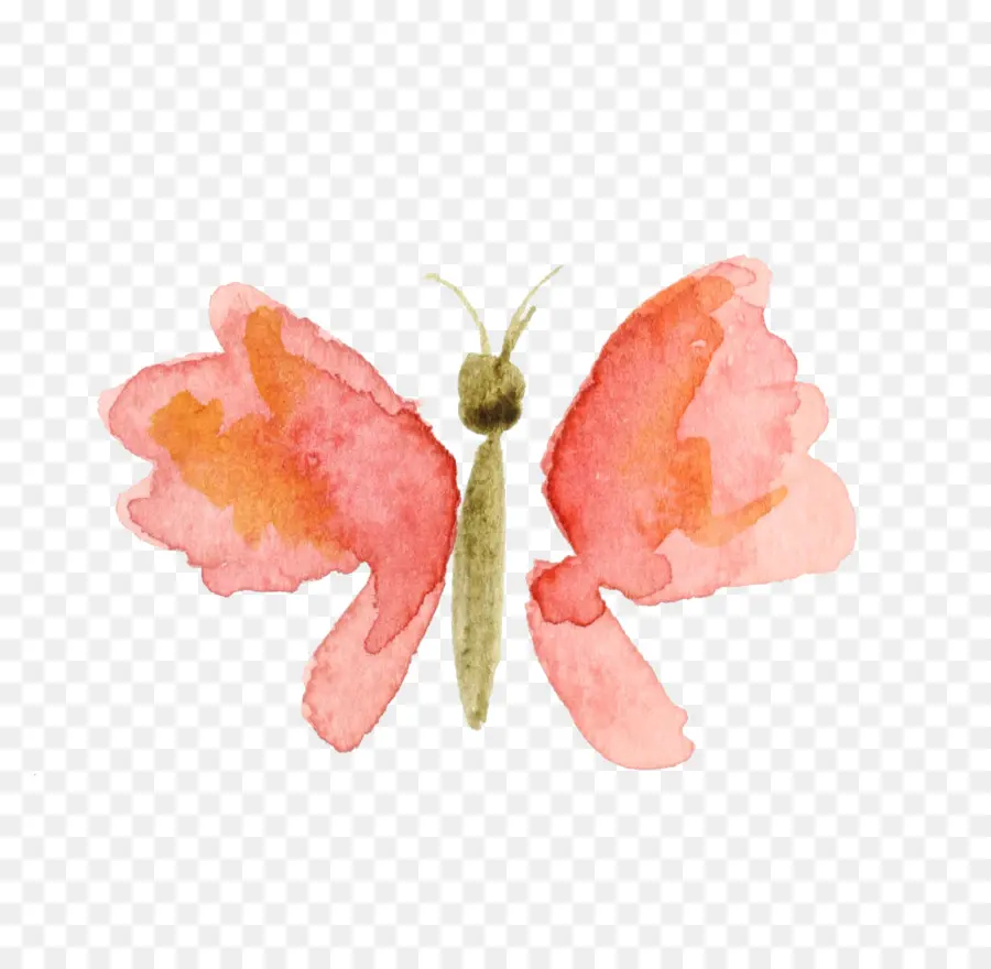 Mariposa，Acuarela De Flores PNG