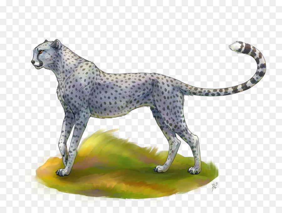 Maltés Perro，Cheetah PNG