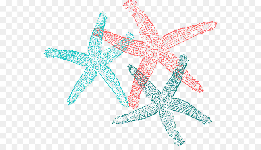 Estrella De Mar，Océano PNG