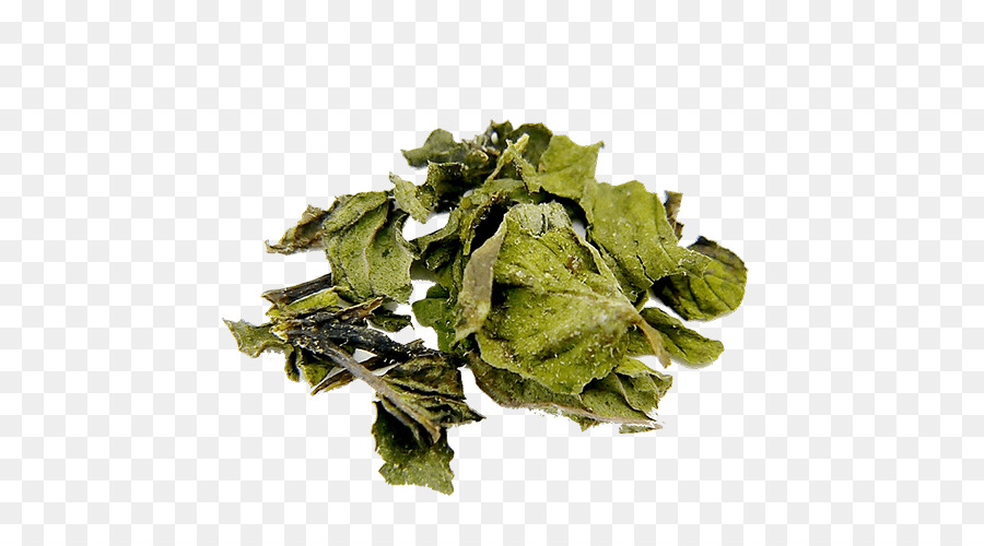 Menta，Bancha PNG