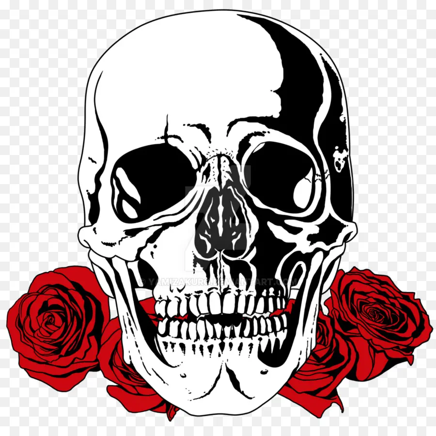 Calavera Con Rosas，Cráneo PNG