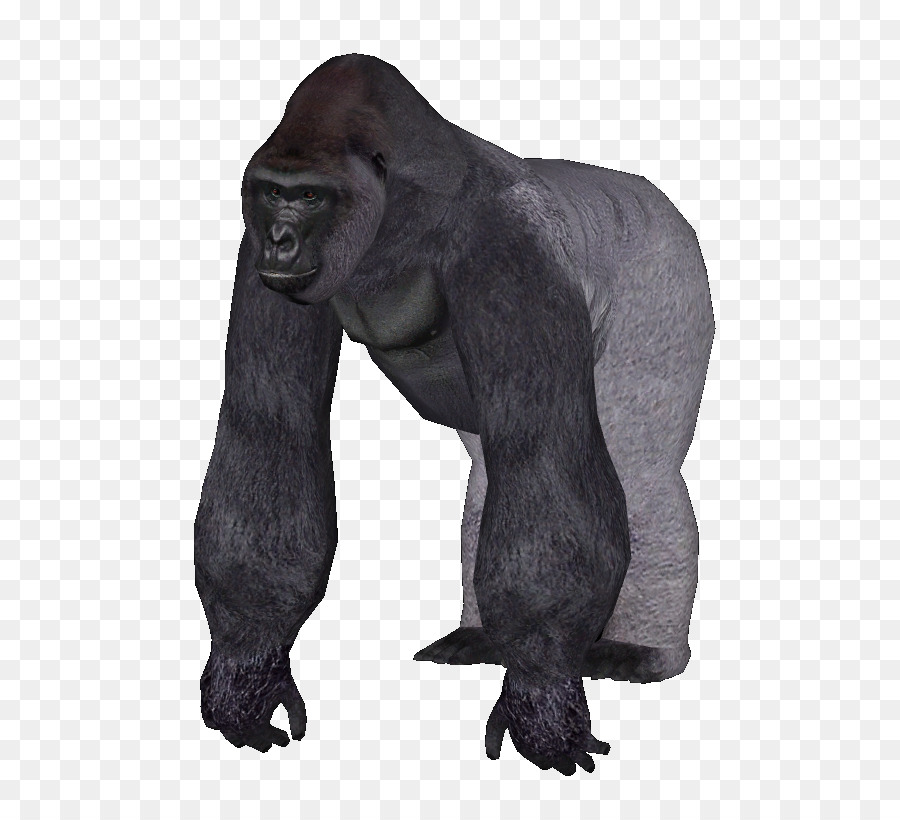 Zoo Tycoon 2，Chimpancé Común PNG