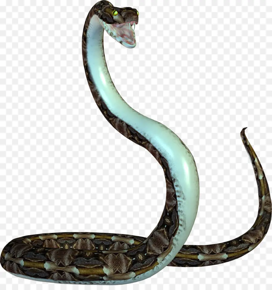 La Serpiente，Reptiles PNG